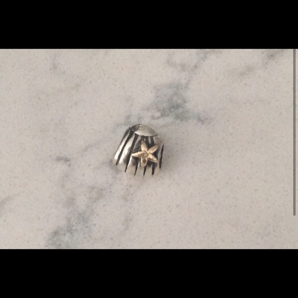 Pandora shell with gold starfish